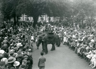 Crowds of visitors watch an elephant ride at London Zoo, August bank holiday by Frederick William Bond